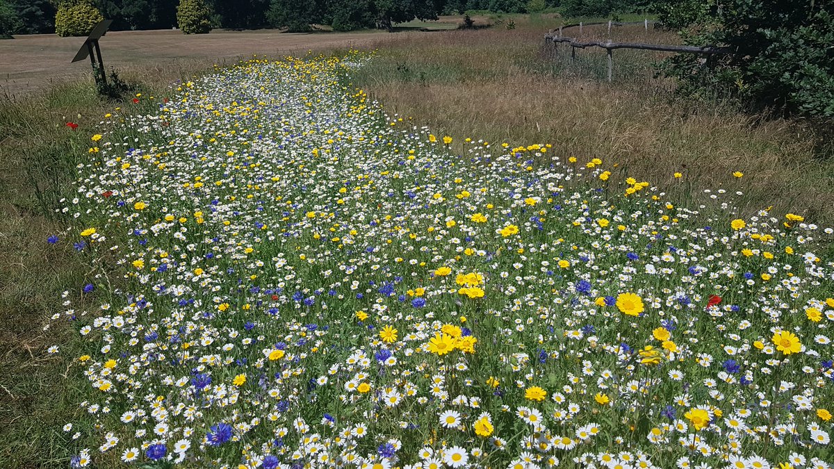 HeritageFundUK's tweet photo. We want all projects we fund to limit any potential damage to the environment and make a positive impact for nature – whether our funding is supporting a landscape, local park, a museum or bringing a community together. 

More info👉https://t.co/c75PjkgM0x #SavingNaturesHeritage https://t.co/kB59ldtC06