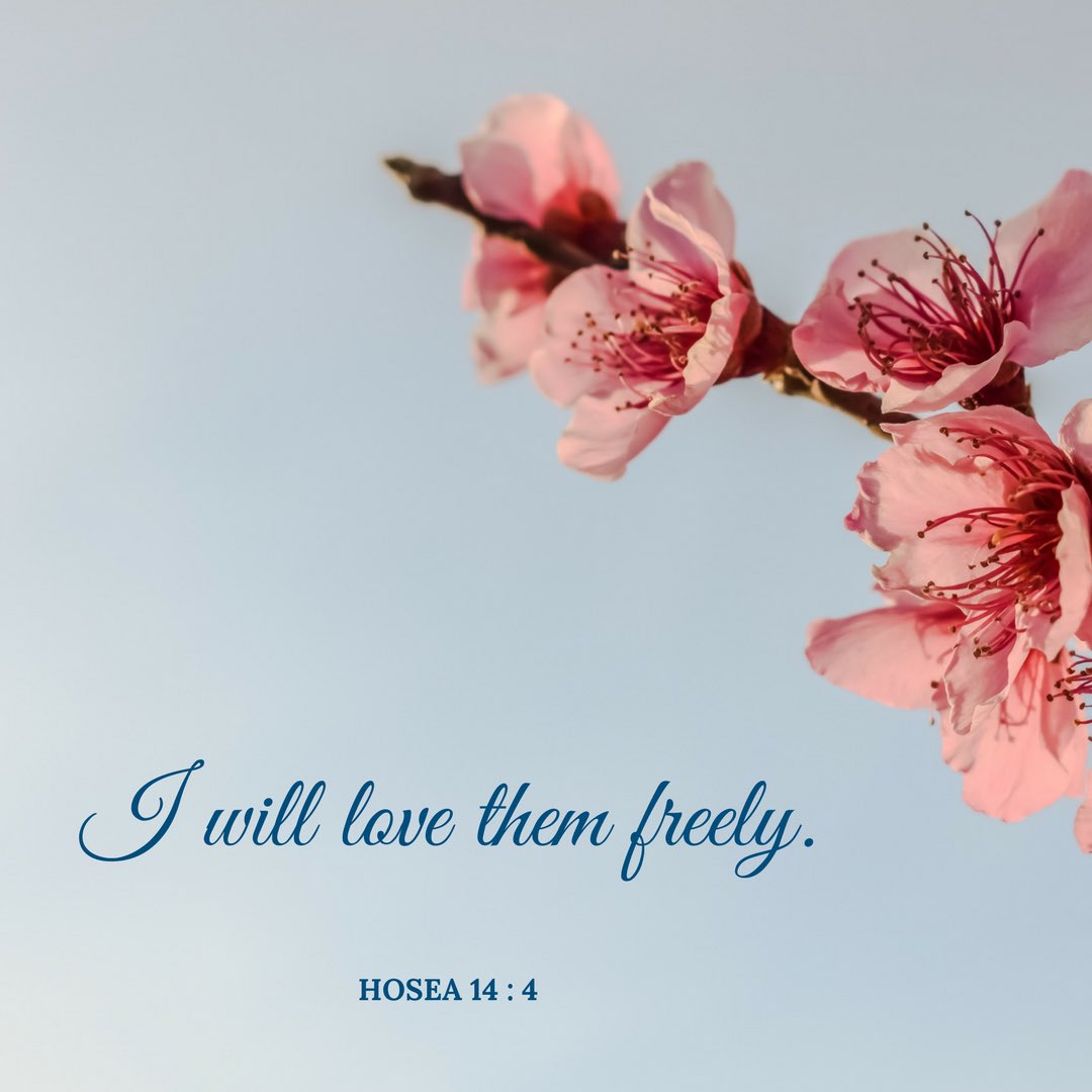 Rose Nolen on Twitter: "“I will love them freely.” Hosea 14:4  https://t.co/85oLkGKI7W" / Twitter