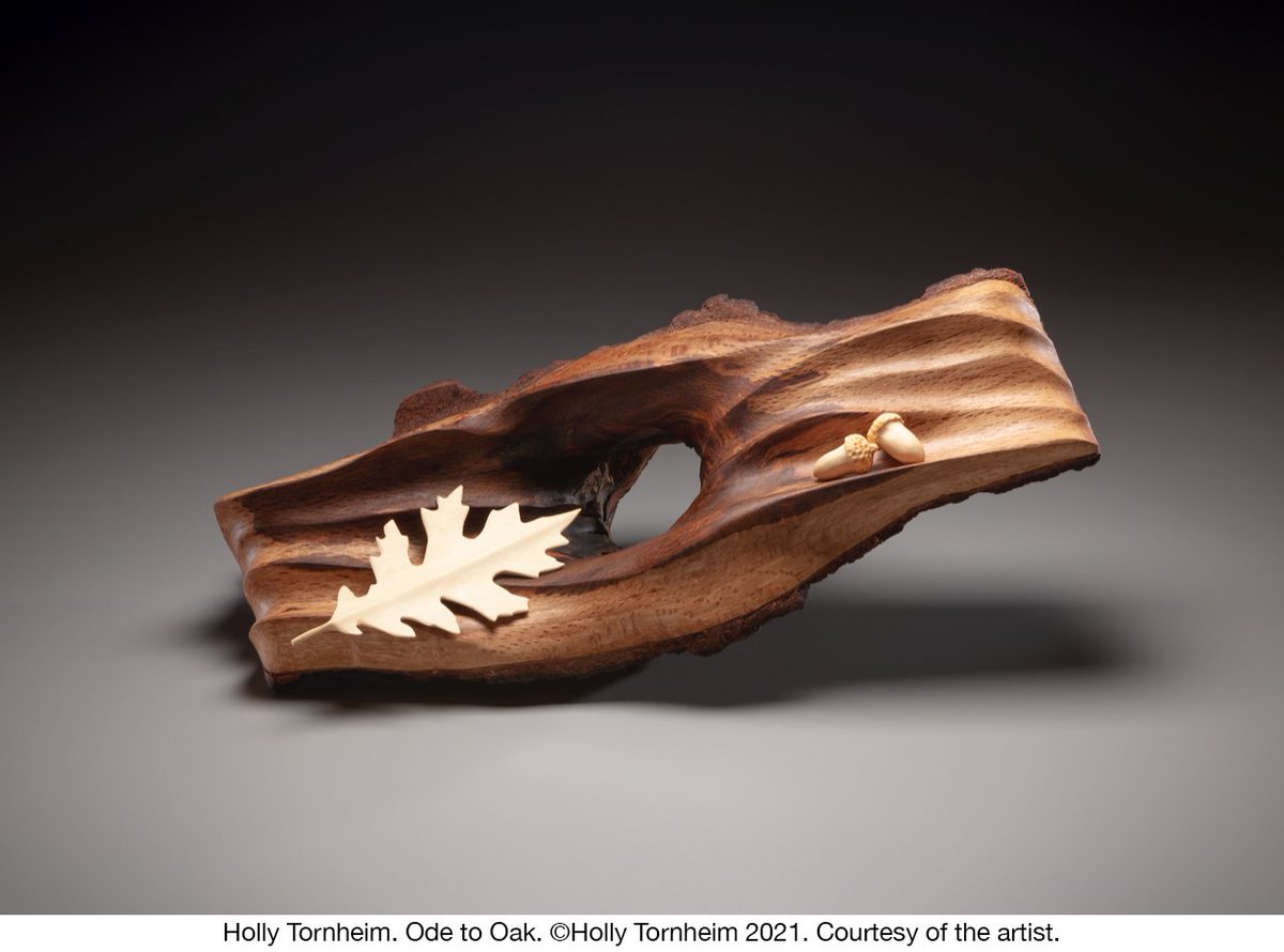Honoring_Future's tweet photo. Congratulations to Holly Tornheim! Her “Ode to Oak” won the Honoring the Future #Sustainability Award! Crafted from sustainably sourced wood in a solar-powered studio, her art highlights the beauty and fragility of the U.S. national tree: https://t.co/JwNGxov2IR @CraftShowSWC https://t.co/04YZ7Zeadh