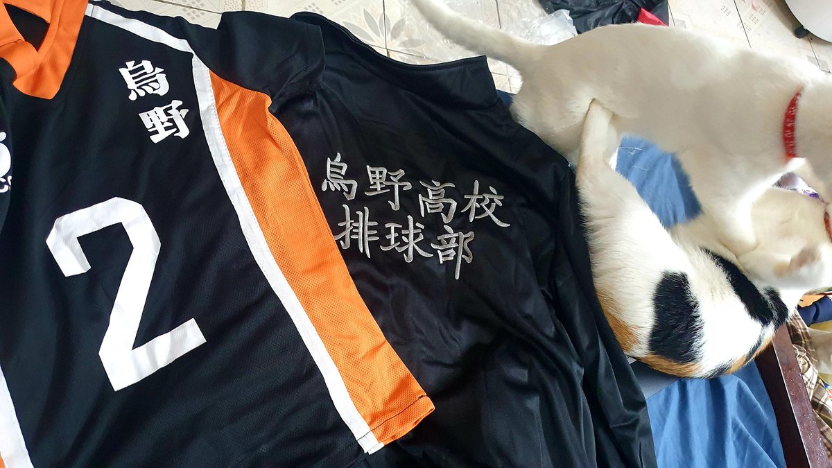 Vega_Do's tweet photo. #Haikyuu #ハイキュー
Although I've been in love with this series for more than 5ys I did not once thinking about getting myself a jersey, probably cos I've been thinking along the line "cosplay" and I'm not good at potrait male character
But hey I could wear this to work out uwu https://t.co/7FRRRqJzsl