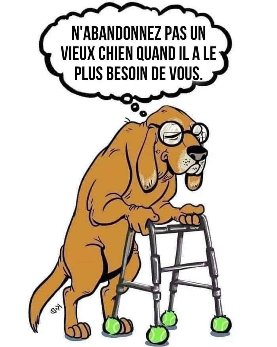 AuCoeurAnimaux's tweet photo. ♥️ adopter un sénior ♥️ https://t.co/WjeusH2x5X