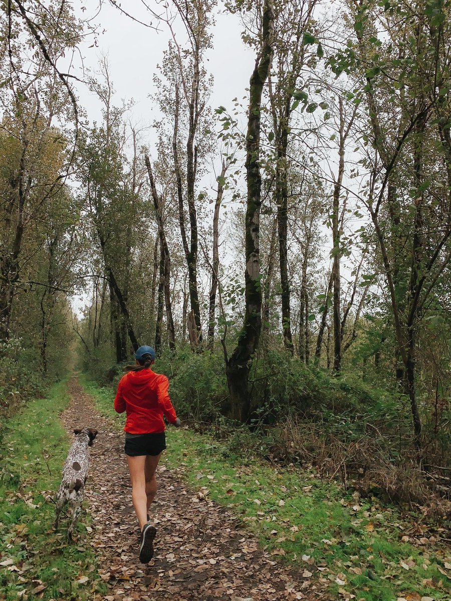 highpointersfdn's tweet photo. How will you #MakeADogsDay today?  Maybe take one on the trails (even better to a highpoint)? https://t.co/IqWqNoDueO