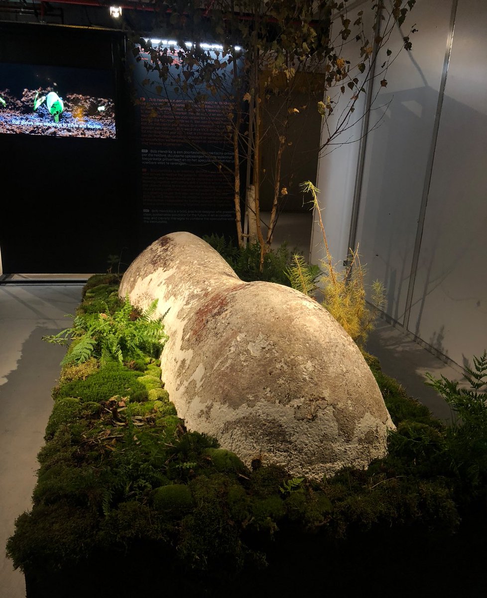 Sofia Crespo 🪸 tweet media