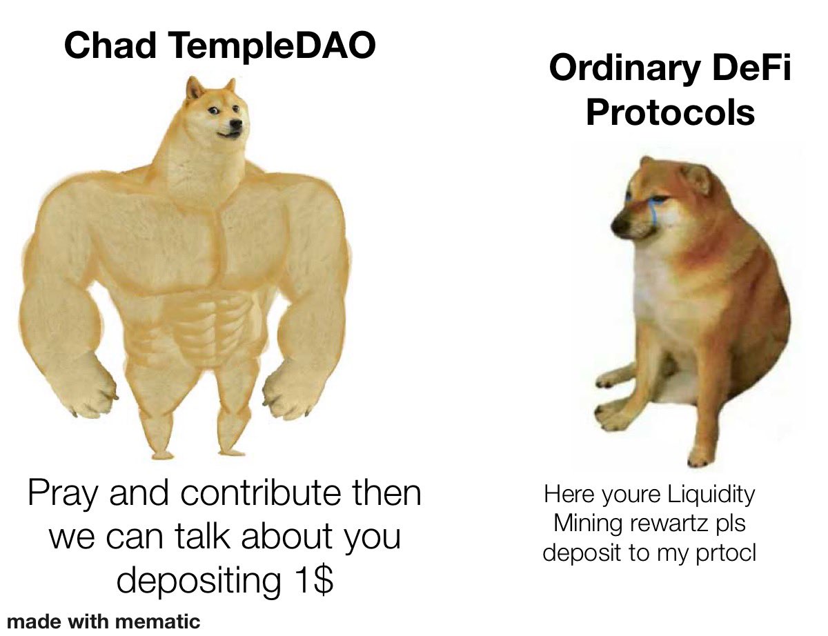 0xmakaveli's tweet image. #notacultbutafamily @templedao #fireritual $TEMPLE