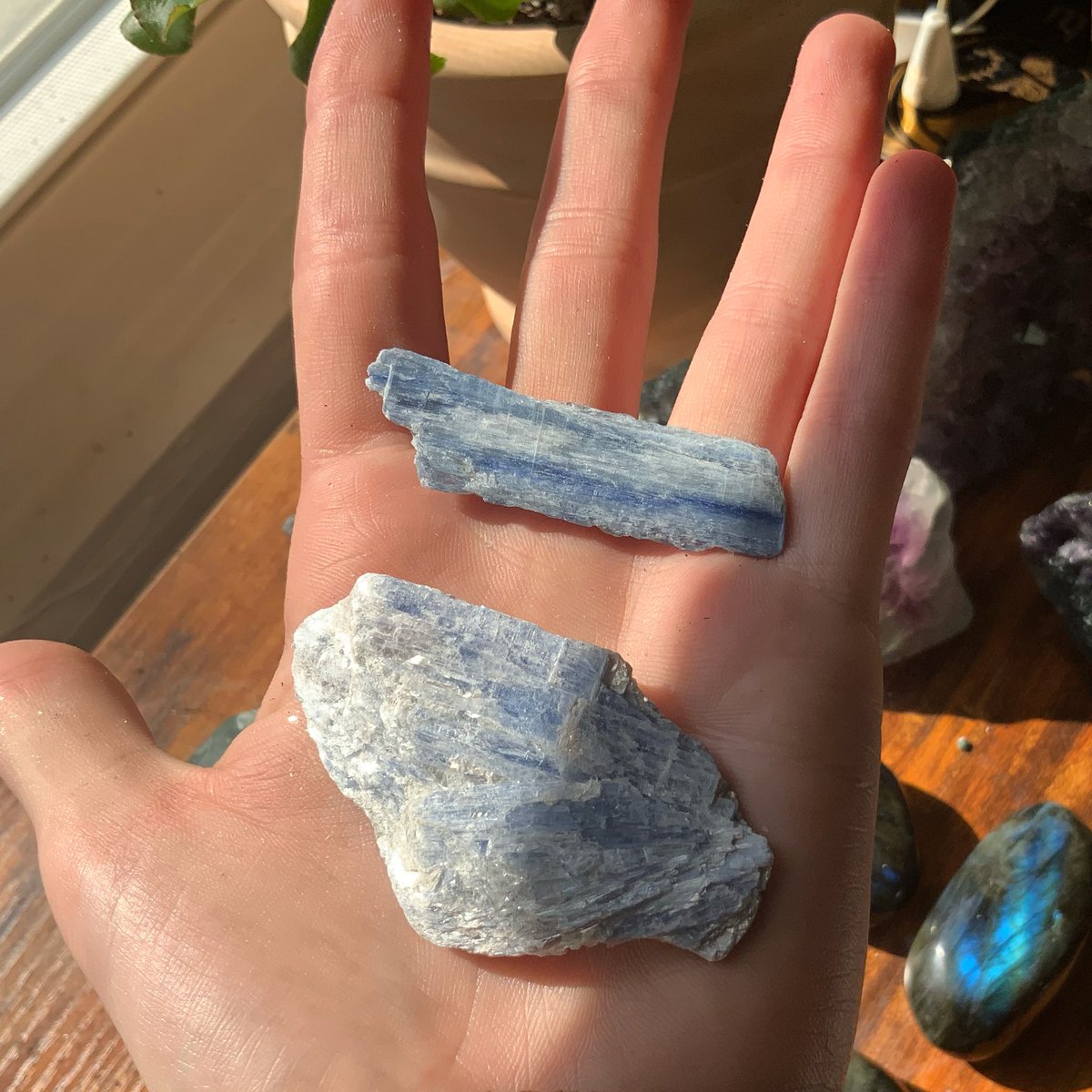 devinannimal's tweet photo. Don’t know how to shut the fuck up? 😂 me neither.

There’s a crystal for that https://t.co/NGpjUfiKEI