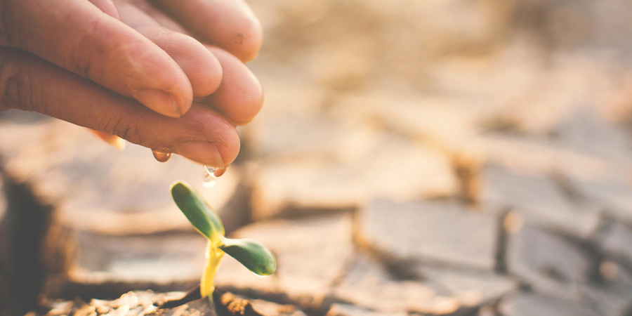 minsaitbyindra's tweet photo. Para celebrar el #DíaMundialContraCambioClimático te contamos algunos ejemplos de soluciones innovadoras y respetuosas con el medioambiente. Ocho muestras de cómo la tecnología es clave en la acción por el clima #BlogNeo https://t.co/Wilw8zvCGd https://t.co/l415C7xymM
