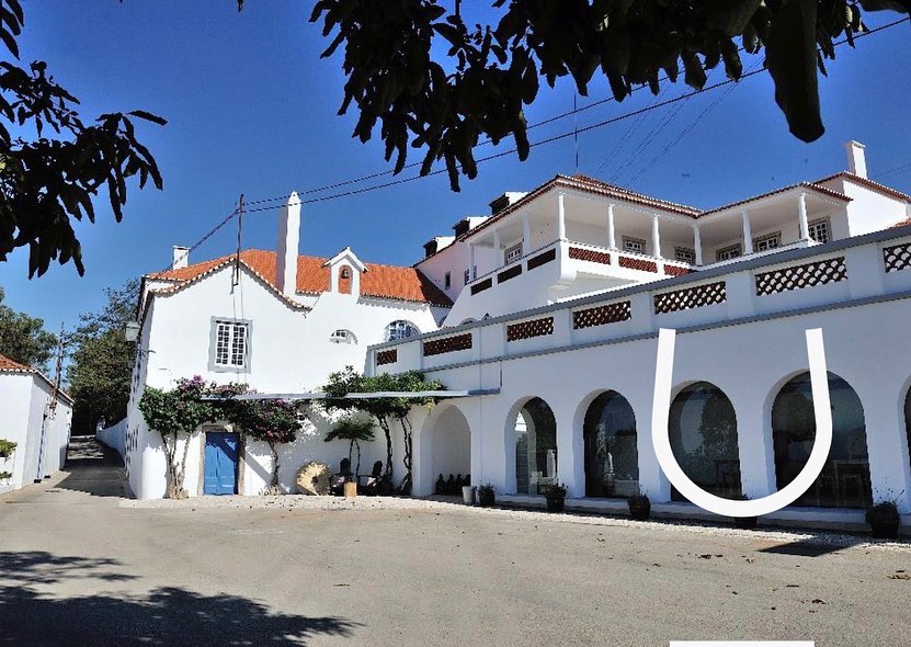 wine_alle's tweet photo. Heir of four generations of a historic family of Palmela. The wine production of Quinta do Piloto comes from a selection of vineyards in the best Palmela’s terroirs.

#winetour #winetourism #winetours #winetourist #winetouring #winelover #winescape #partnership https://t.co/SVcO6Of5G3
