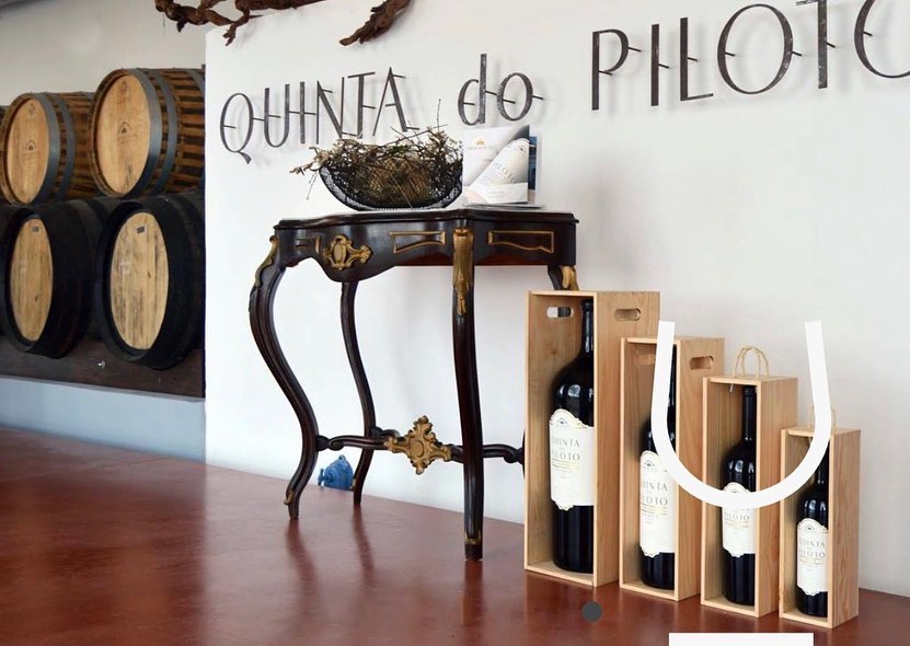 wine_alle's tweet photo. Heir of four generations of a historic family of Palmela. The wine production of Quinta do Piloto comes from a selection of vineyards in the best Palmela’s terroirs.

#winetour #winetourism #winetours #winetourist #winetouring #winelover #winescape #partnership https://t.co/SVcO6Of5G3