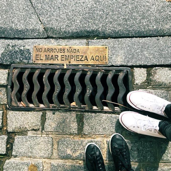 literland (@literlandweb1) on Twitter photo 