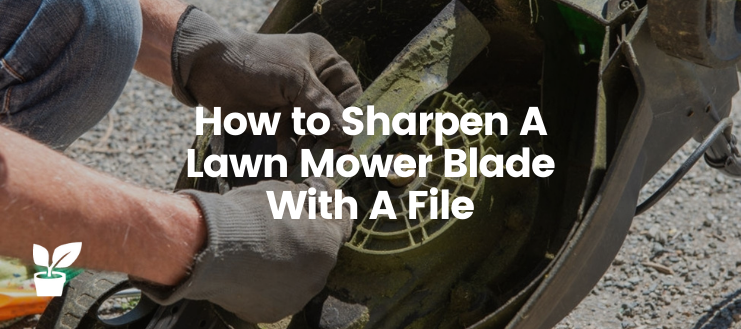 How to Sharpen A Lawn Mower Blade With A File

There are many ways to sharpen the lawn mower blades. Read this guide to get the sharp blades to give your green plot a lush green inspiring look.

irrigationsuppliesstore.com/sharpen-lawn-m…

#lawnmowerblades #lawnmower #lawngarden #MowerBlade #mowers