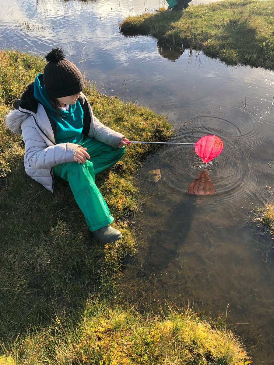 ysgolswnydon's tweet image. Different day, different pond and this time we found a frog. Lovely morning pond dipping with year 6. 
.
.
.
#ponddipping #forestschool #rspbwildchallenge #rspb #frog @_olw_