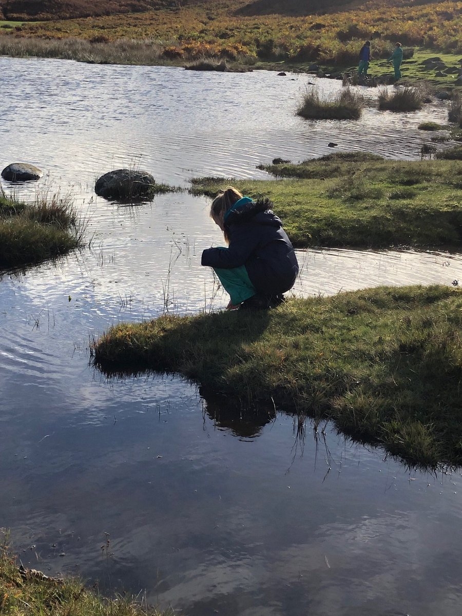 ysgolswnydon's tweet image. Different day, different pond and this time we found a frog. Lovely morning pond dipping with year 6. 
.
.
.
#ponddipping #forestschool #rspbwildchallenge #rspb #frog @_olw_