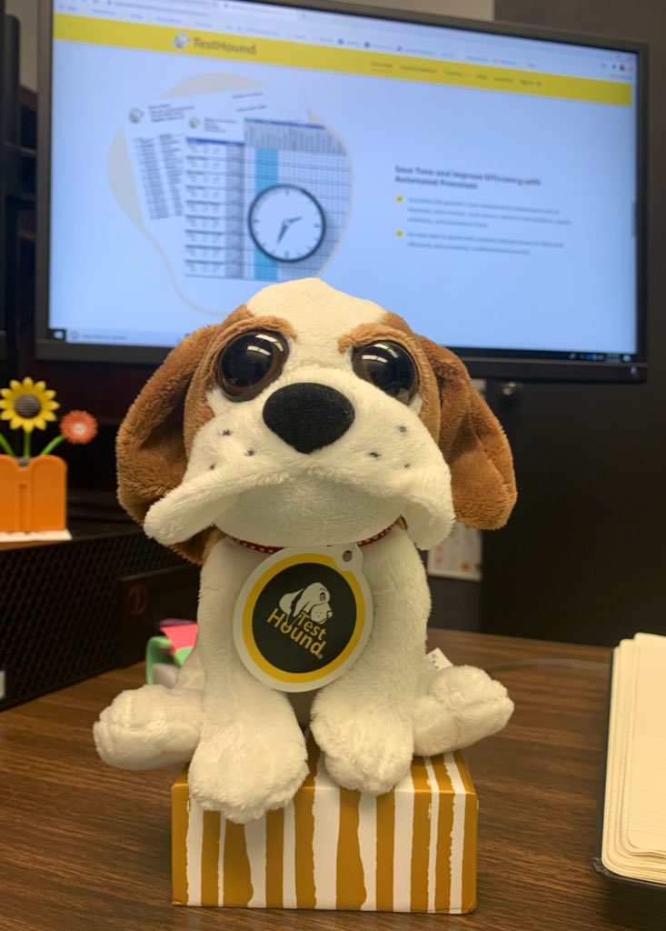 JDKOON522's tweet photo. Help us welcome the newest member of @York1Schools Instruction Dept. 🐶 Many #TestHoundAdventures ahead. Now accepting name recommendations. https://t.co/DU4slyZ3C4