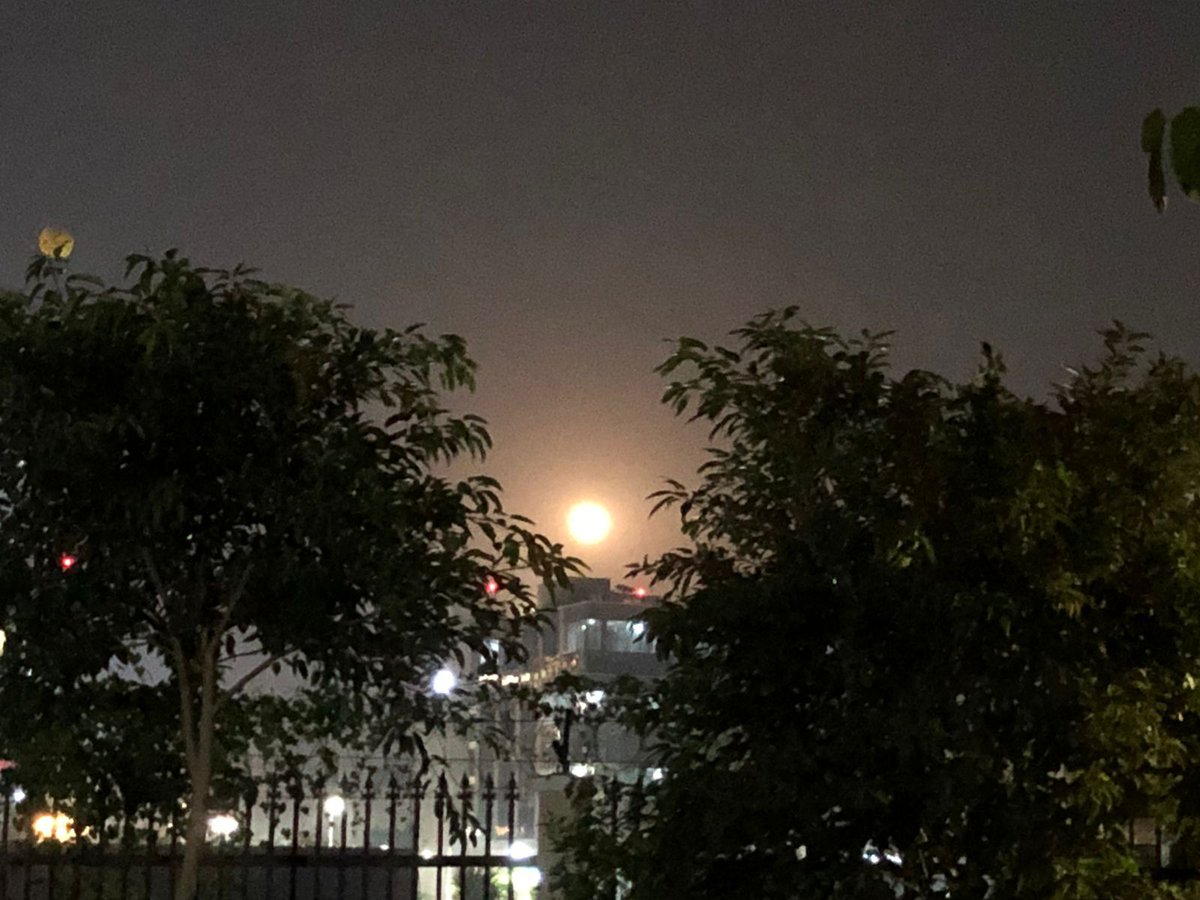RwaMarbella's tweet photo. Moon View to give us a good night sleep!

#Marbella #view #beautiful #moon #night https://t.co/iycv6leflh
