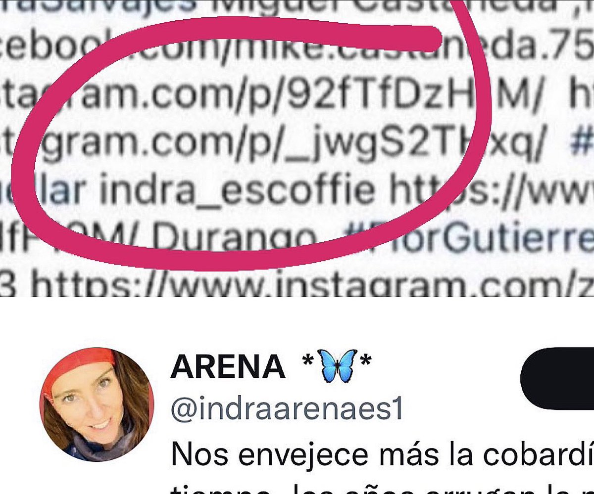 marlondean45's tweet photo. #10K Visualizaciones. Creadores de contenido #runner, conozcan miembros de #secta s de #coachingcoercitivo o llamados #tedecalzon están introducidos en sus grupos de #runners @MaratonCDMX @angiemoyam @soymaratonista #CuidarteEsCuidarnos @pan_edomex @PAN_Naucalpan #alerta https://t.co/0qJccxzG6M