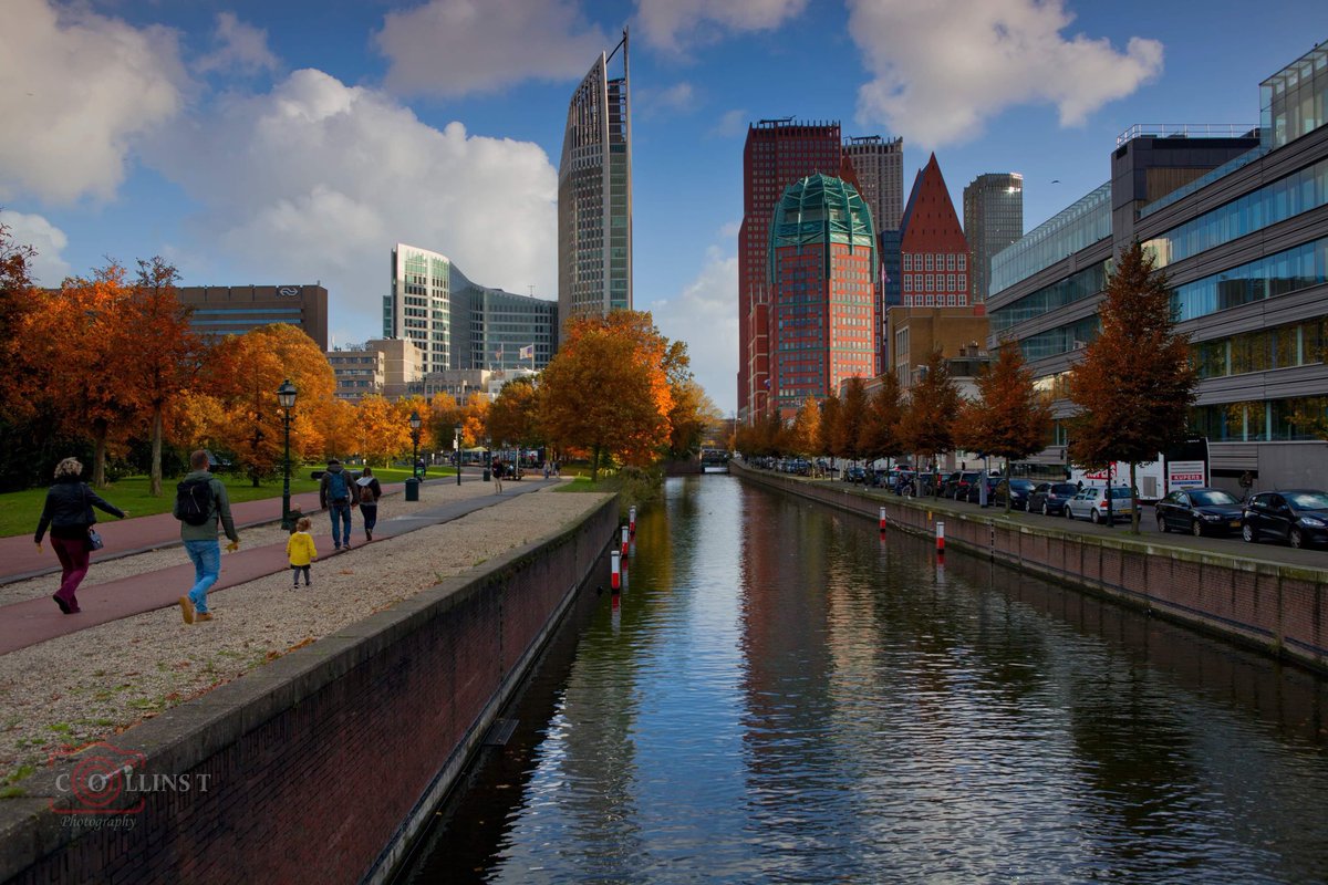 Collins Tabot - LL.M tweet media