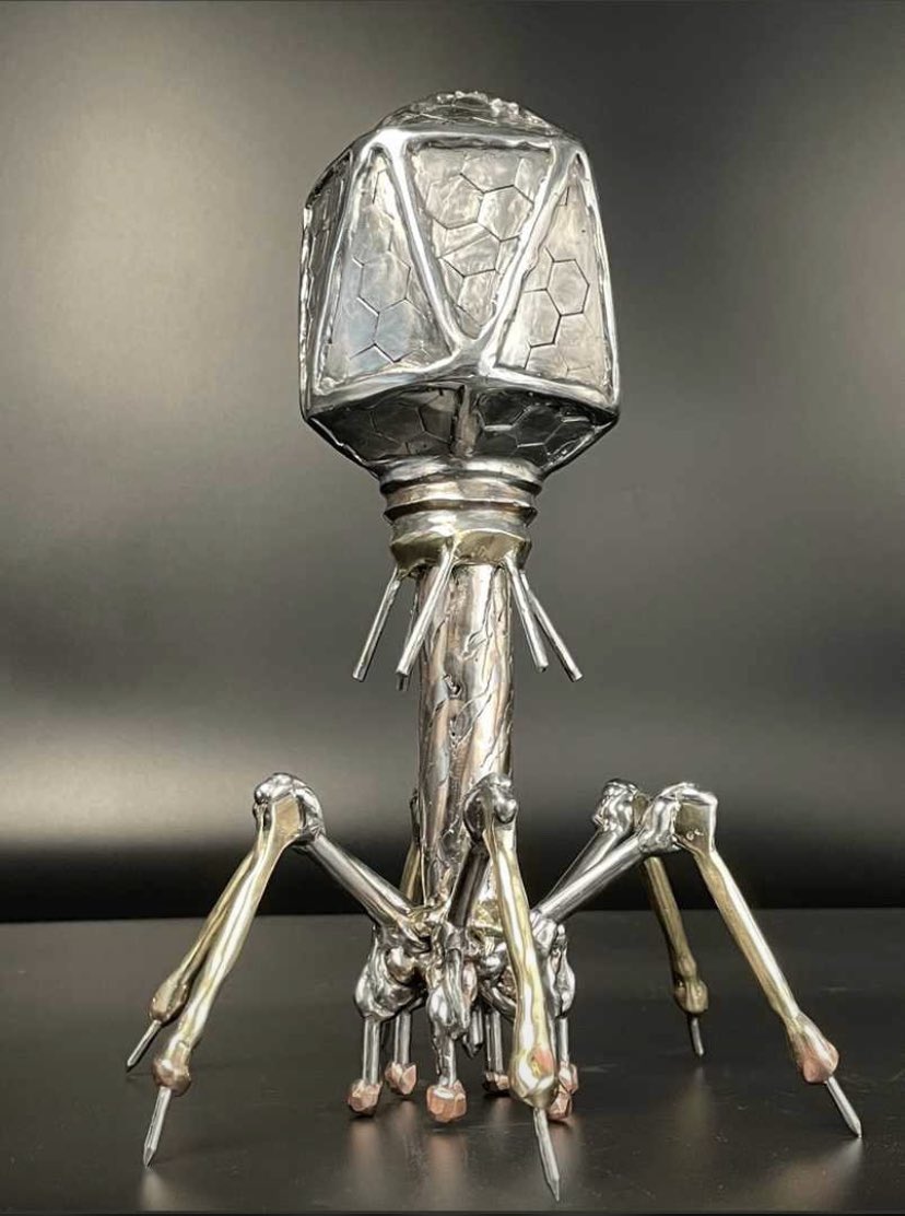 urmibajpai's tweet photo. Happy week your highness! #phageweek @phageconsortium @phagedirectory @PhageIndia @PhagesforGH @Women_In_phage @VitalisPhage @FanaticPhage @AdaptivePhageTx @IbadanPhageTeam @Intralytix @PhageOxford @PhagePasteur @Saudi_Phages @felixbiotech https://t.co/f2utIPWm2t