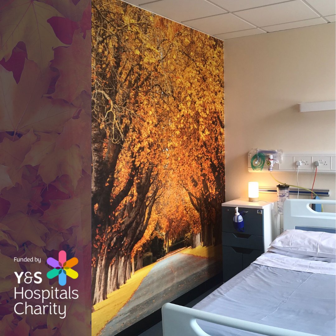 YSHospCharity's tweet photo. Thanks to your donations, we have funded ‘The Autumn Room’ at Scarborough Hospital.
This special room is a homely environment for the patients and their loved ones to spend together at the end of their life.
Read below the wonderful words of a recent user of the room 💛 https://t.co/dYNlDllkUr