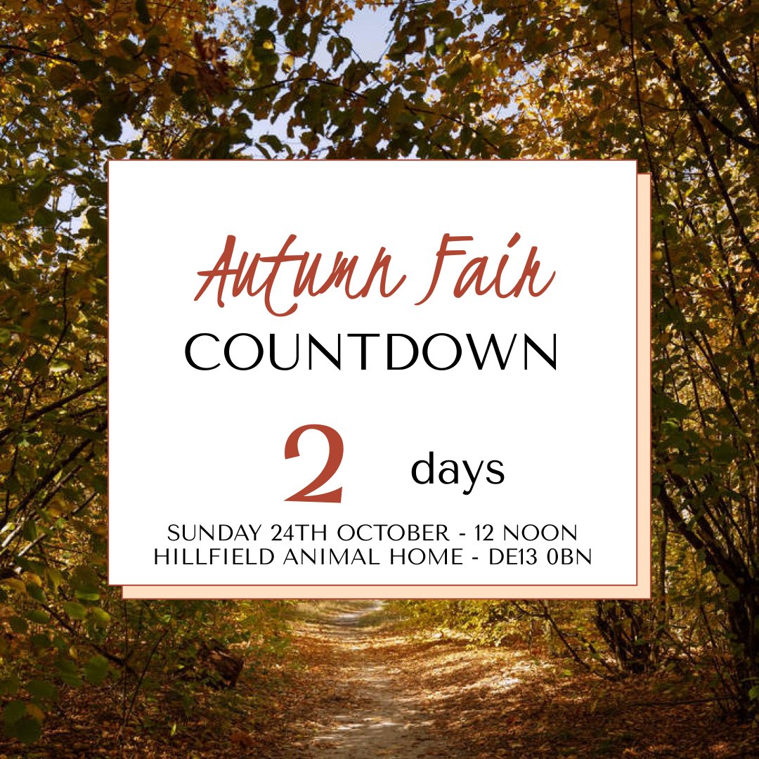 Come and join us in 2 days time for our Autumn celebrations. 

12noon till 4pm 

Hillfield Animal Home, Stretton, DE13 0BN.

#hillfieldanimalhome #adoptober #rspca_autumn