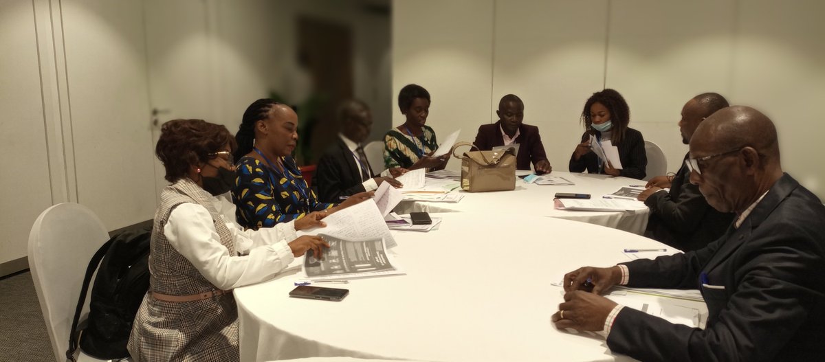 Poursuite des travaux d'atelier multipartite de l’Examen Périodique Universel sur les  #droitshumains #RDC - Jour 2
