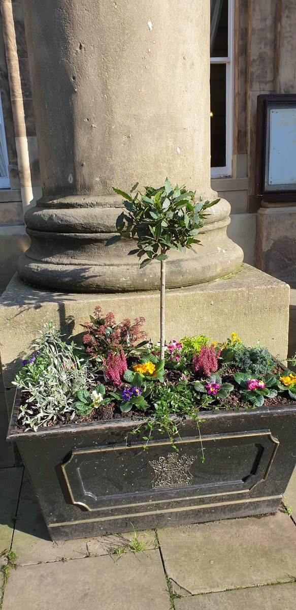 MaccRanger's tweet photo. More colourful autumn planting this week, replacing the finished summer bedding with seasonal colour, guaranteed to lift the spirits as the days shorten. #macclesfield #makemaccbetter https://t.co/4EHdah0BP5
