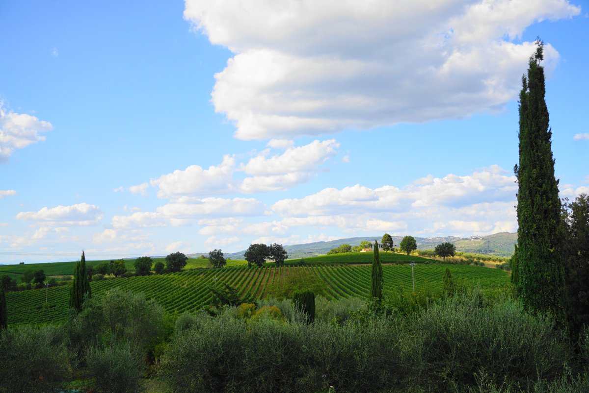 LornanoChianti's tweet photo. Hills, vineyards and olive trees, this is the Chianti Classico landscape and we love it!
Have you ever been here?
#lornanochianticlassico #lornanoathome #lornano #chianticlassico #chiantishire #hills #toscana #tuscany #landscape #vineyards #italianwinery #aroundtuscany https://t.co/uRclp2WJgz