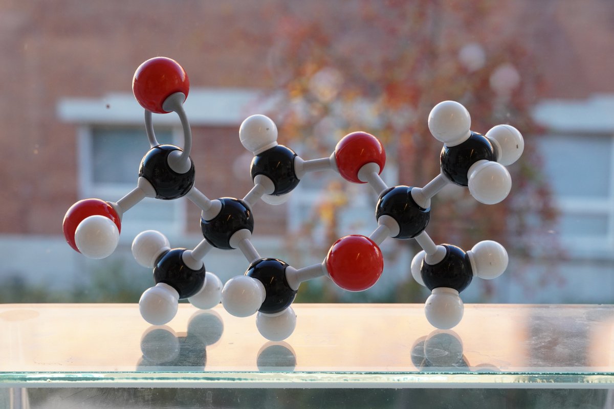 MalkochLab tweet media