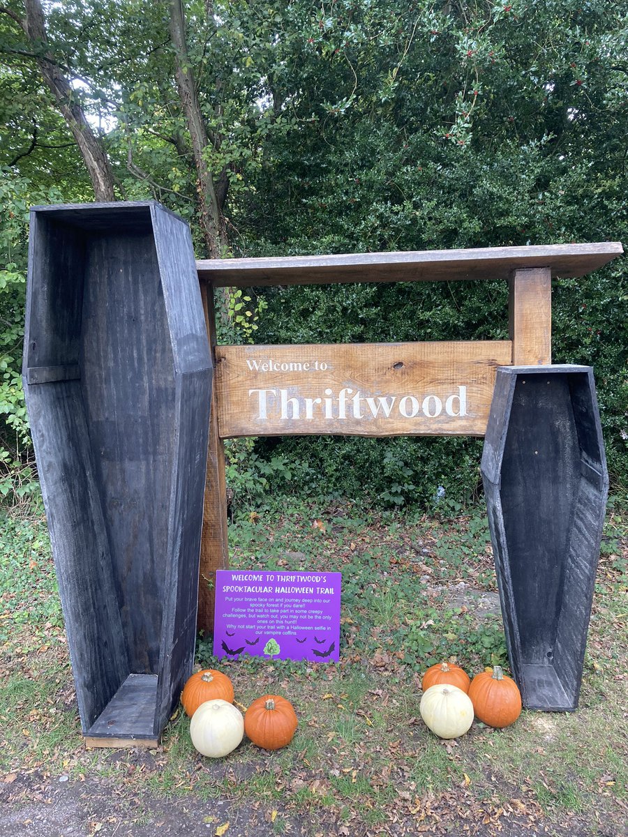 All ready for #halloween2021 <a href="/Thriftwoodcamp/">Thriftwood Campsite</a> 👻 🎃 🧙‍♀️. Halloween trail £2:50 pp 23-31st October from 10am