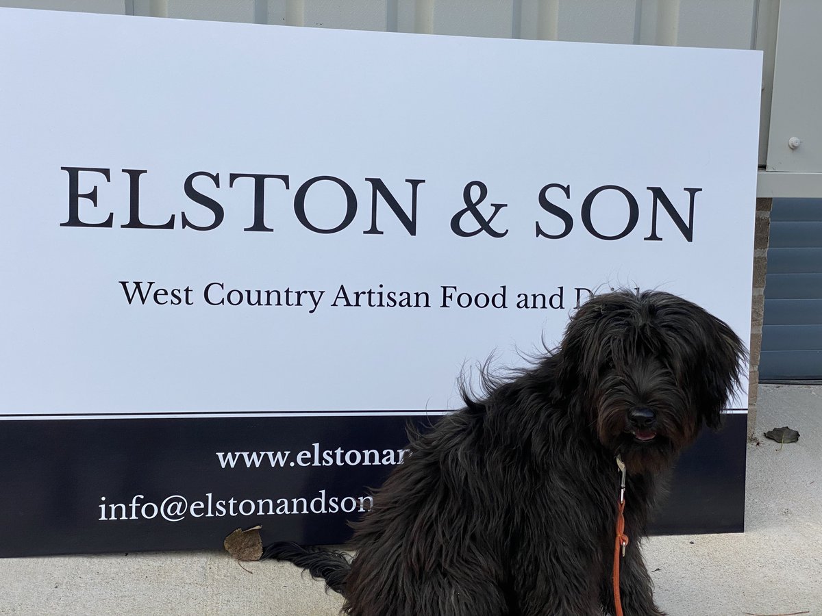 Elston & Son tweet media