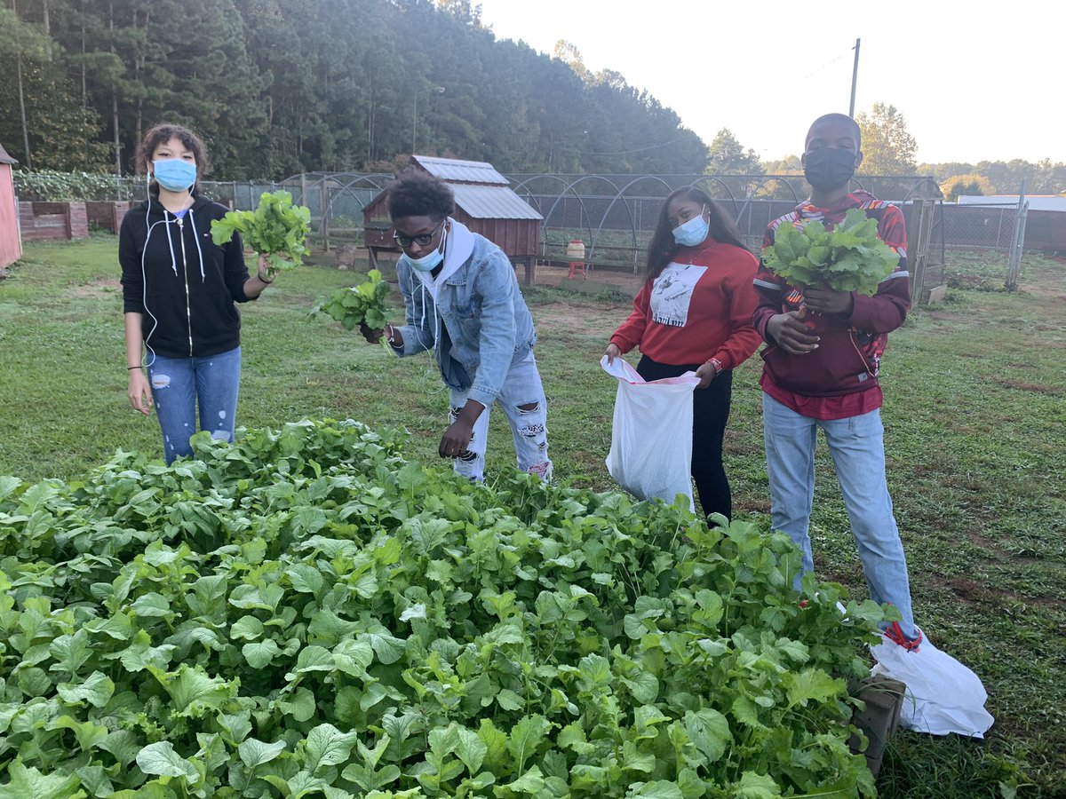 Traves Hyman tweet media