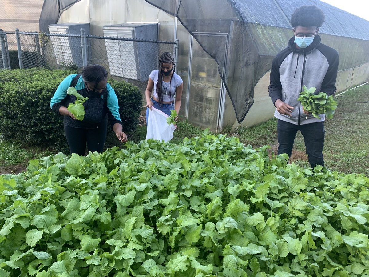 Traves Hyman tweet media