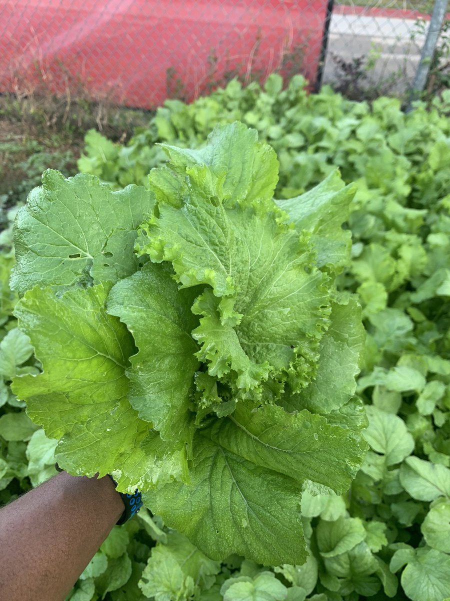 Traves Hyman tweet media