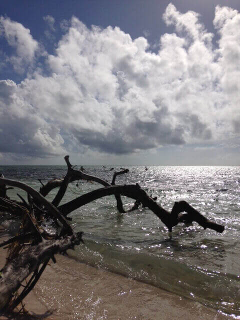ExploreA1A's tweet photo. Top 10 Places To Visit In The Florida Keys - https://t.co/f6O68Adhm6 https://t.co/73ABgRLwKy