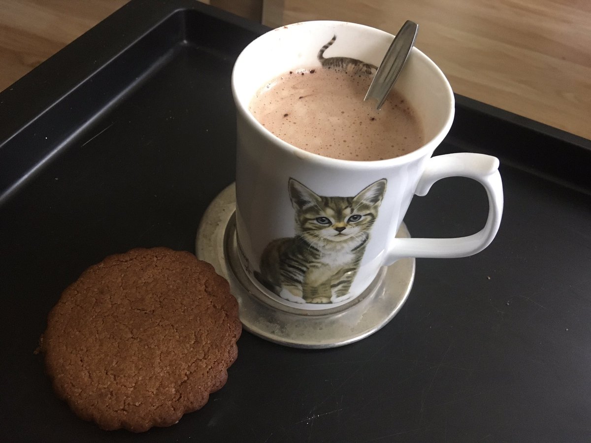 LoverKatten's tweet photo. Tijd voor een #latte met een heerlijke #jodenkoek
En dat op #terugvolgvrijdag ๐ https://t.co/8W2JqSFdKY
