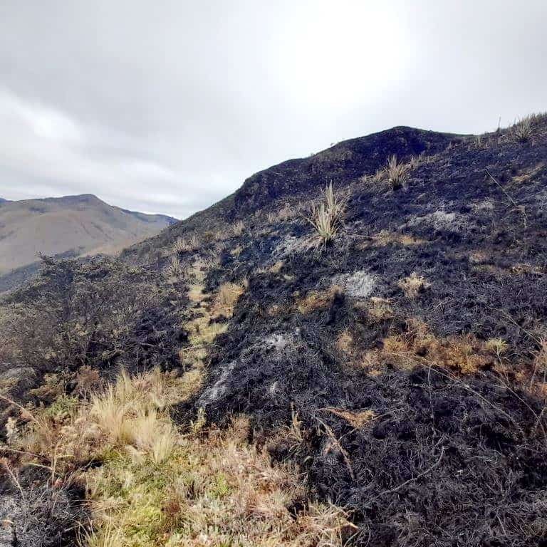 Cerca del 90% de los incendios forestales son provocados por el ser humano, es importante concienciar a la población mediante las capacitaciones y la  práctica de buenos hábitos. Nunca provocar incendios   
#EtapaContigo #CuencaSaludable
<a href="/pedropalaciosu/">Pedro Palacios U.</a> <a href="/rubenbenitez_21/">Rubén Benítez</a>