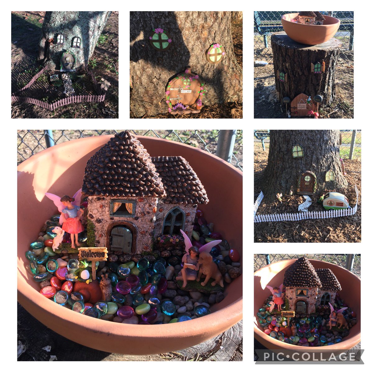 Erin Stripto tweet media