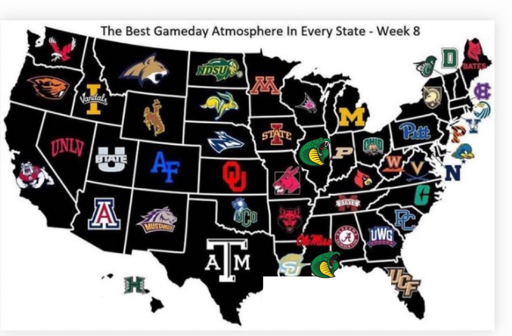 Cobra_Baseball's tweet photo. Haters will say it’s not real🤫
#CobraDomeBouncin🏟
_________________________
#BringUsSpring🥶 https://t.co/vu3KCGoGxP