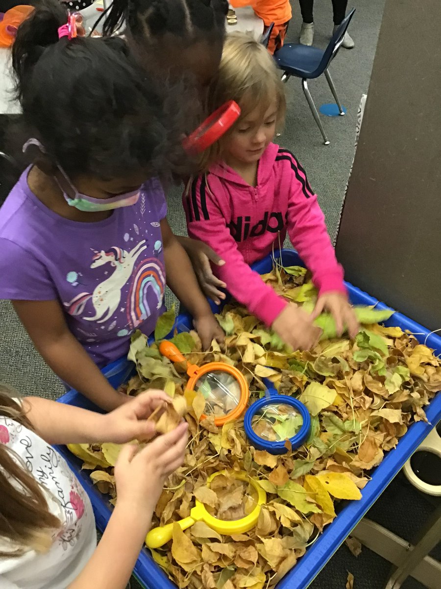 Cheris Kite tweet media