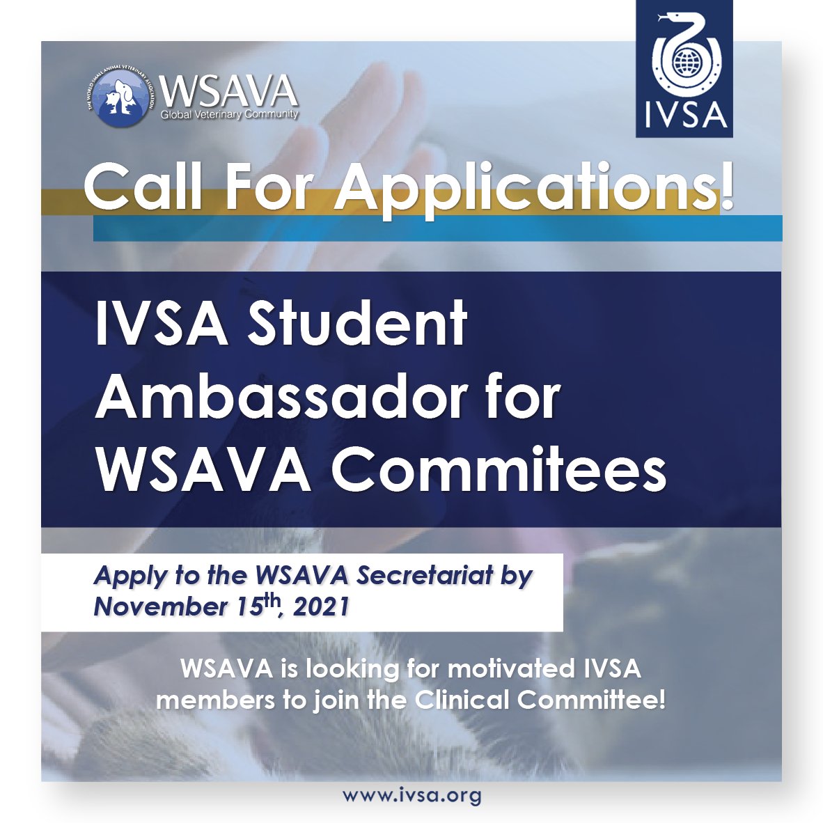 IVSA GLOBAL (@IVSA_GLOBAL)  X