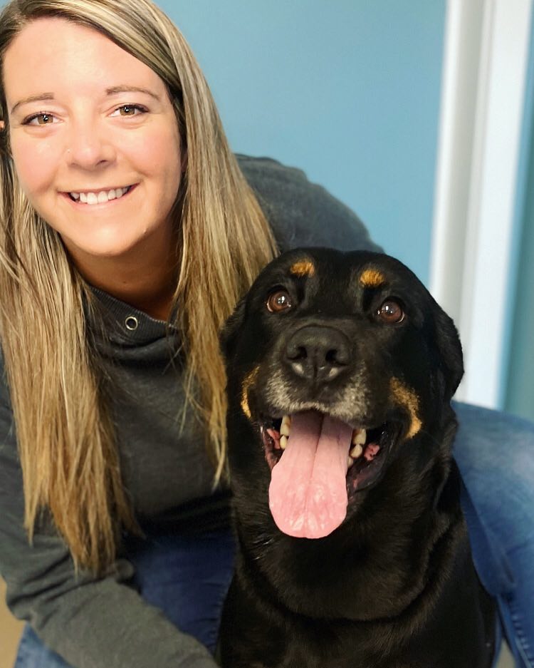 This is Sheva! She's a 6 year old Lab/Rotti Mix! She's looking for a new home &amp; would fit in just about anywhere (except a place with cats or other small dogs).  She loves going for walks and getting treats!
Call the OS Animal Shelter if interested 519-372-1123
