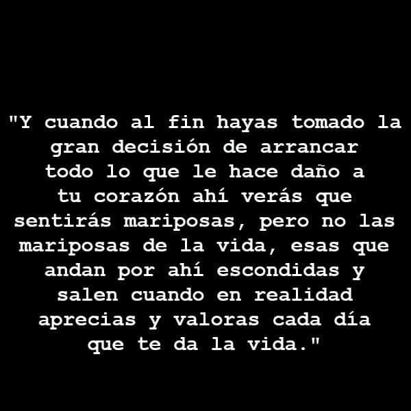 DulcebaUcor's tweet photo. 🦋🦋🦋 https://t.co/9s8vytf21w