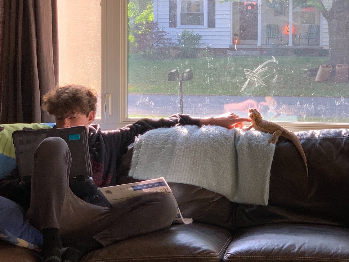 Tifilbe's tweet photo. @ArielDumas Enjoying some sunshine with her boy. https://t.co/yroi1dp95R