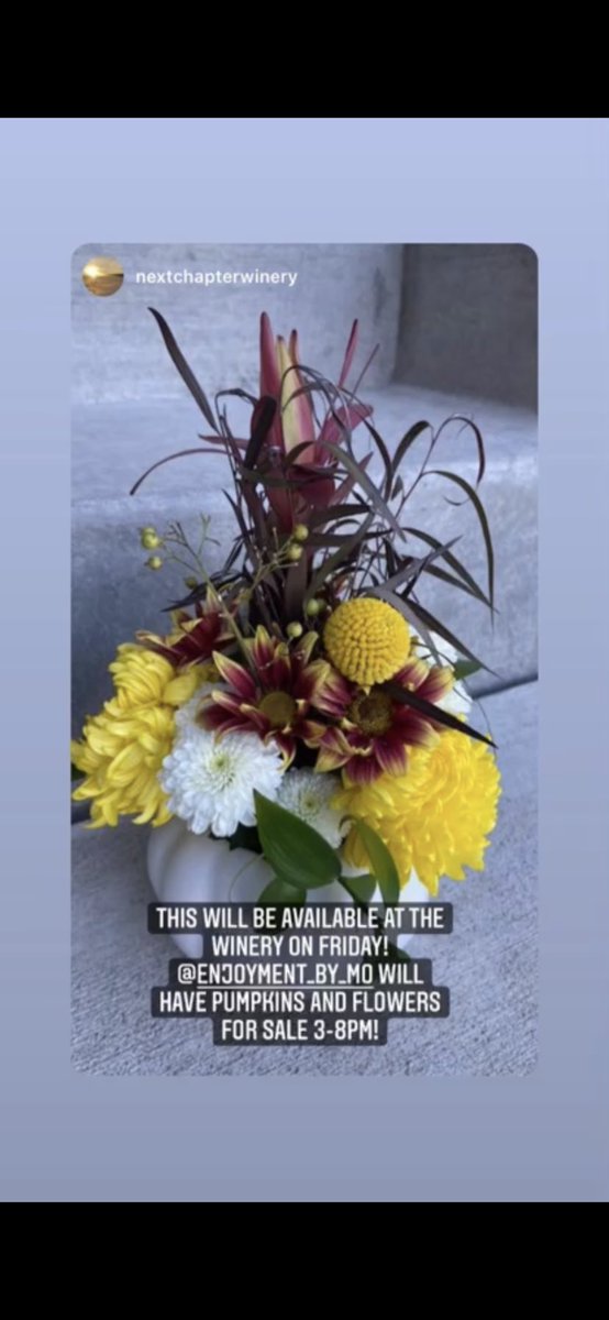 Long3Mo's tweet image. Come spend a beautiful Fall day with @enjoyment_by_mo ! 🍷🍺