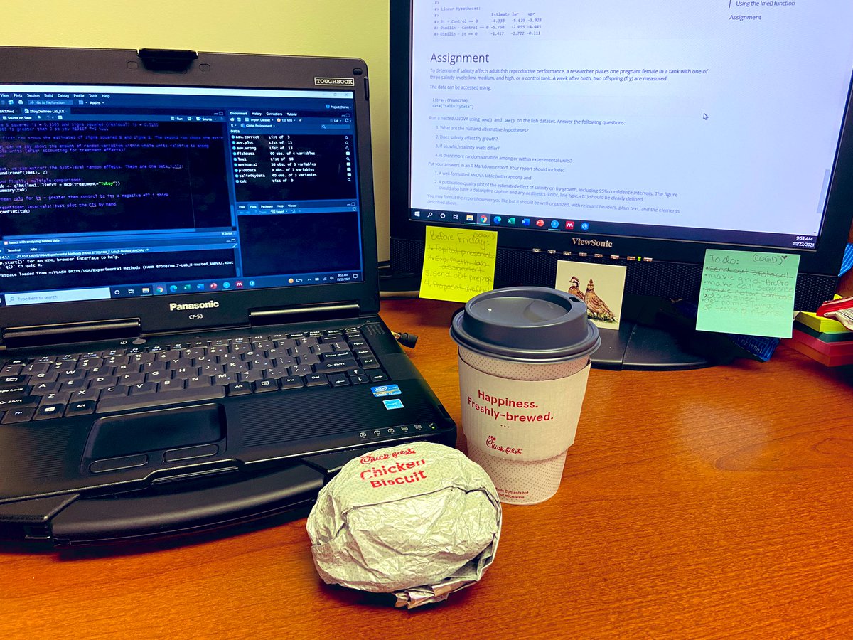 I have decided that today is going to be a good day 😊 … the free cfa biscuits and coffee in the student lounge had NOTHING to do with it 👀