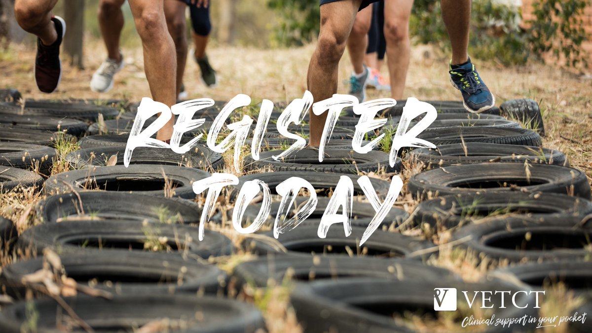 VetCT's tweet photo. The VetCT Boot Camps are back for 2022! 🎉
ECVDI Boot Camp | 19-20 March 2022
🔗 https://t.co/kzXukSqSx9
ACVR Boot Camp | 22-24 July 2022
🔗 https://t.co/dRiozuhRYf
#vetct #acvr #ecvdi #veterinaryresident #veterinarystudent #examprep https://t.co/3J7YeZd6EL