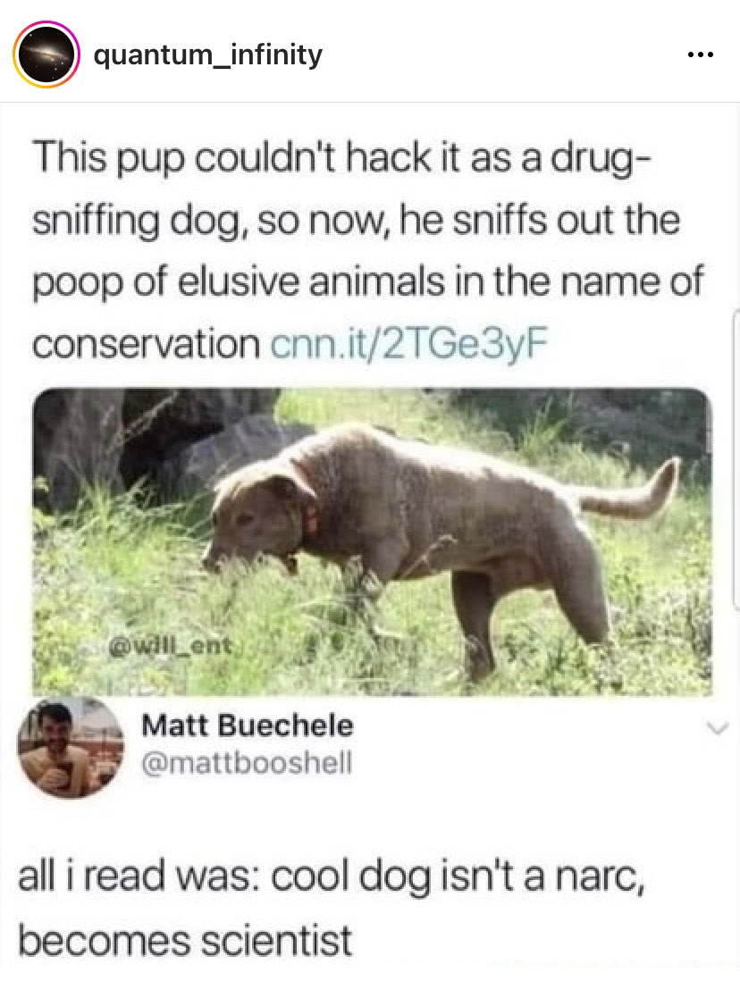 TimOnTheTractor's tweet photo. Good dog. ❤️ https://t.co/JOl0a50587