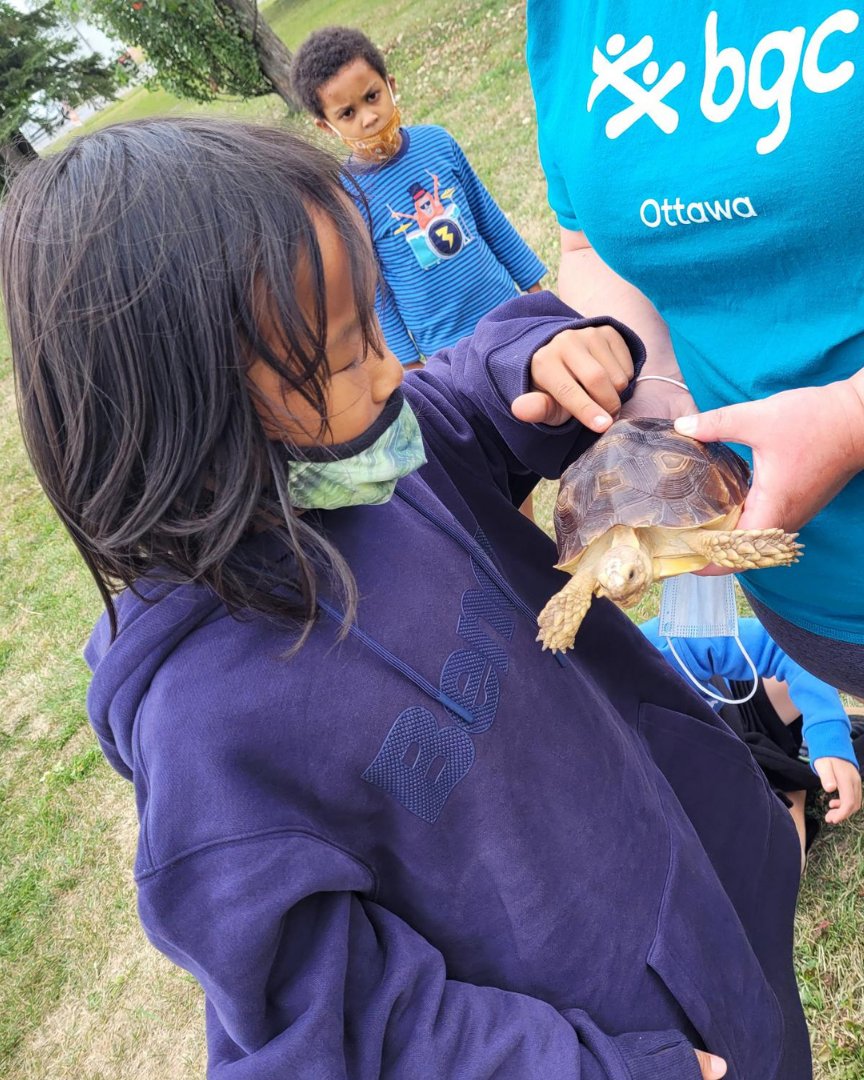 bgcottawa's tweet photo. What do lizards put on their floors? Rep-tiles!

BGC Ottawa Members had the opportunity to learn more about snakes, turtles, lizards, and more. They impressed us with their amazing display of confidence when approaching all these creatures.

#ottawa #bgcottawa #reptiles https://t.co/IF7WbhxRY0