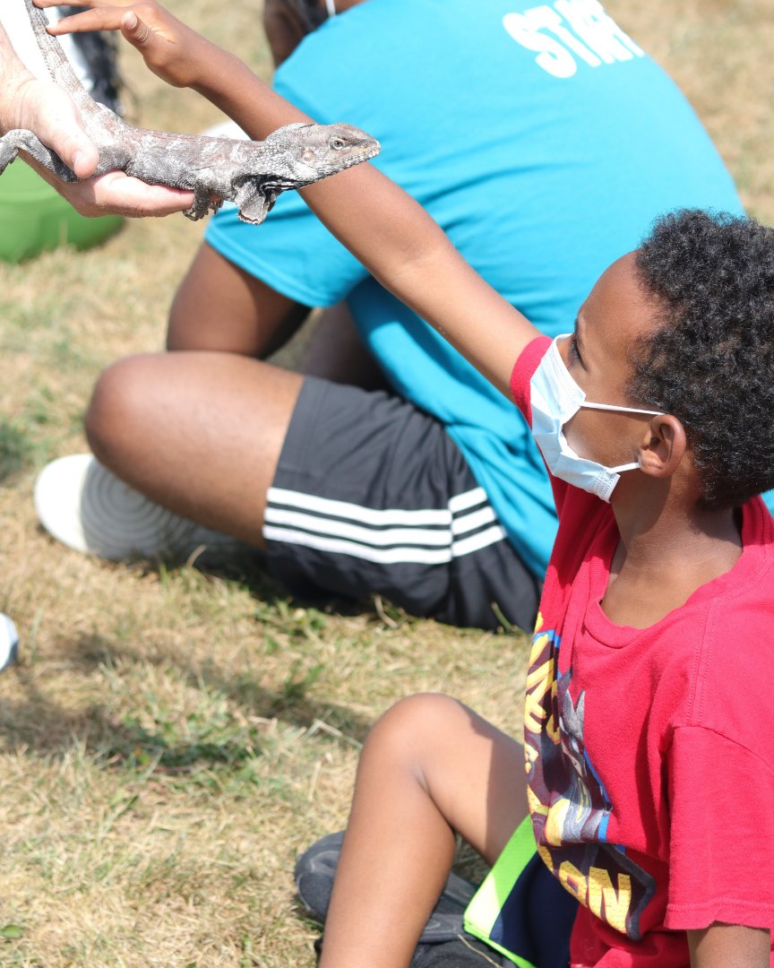 What do lizards put on their floors? Rep-tiles!

BGC Ottawa Members had the opportunity to learn more about snakes, turtles, lizards, and more. They impressed us with their amazing display of confidence when approaching all these creatures.

#ottawa #bgcottawa #reptiles
