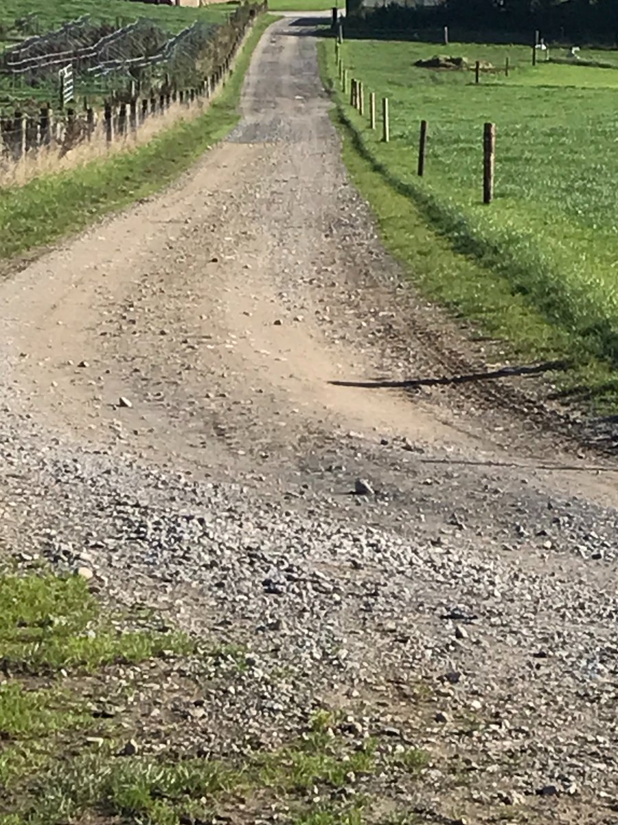 ROADRUNNER tweet media