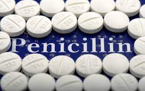WikiJMed's tweet image. Newly accepted article:
History of Penicillin
en.wikiversity.org/wiki/WikiJourn…